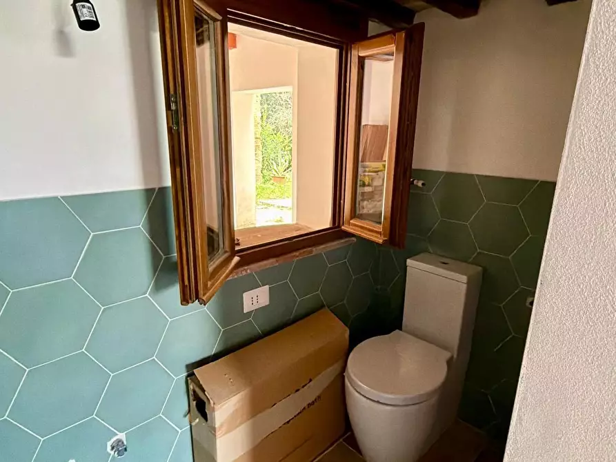 Immagine 7 di Terratetto in vendita  a Casciana Terme Lari