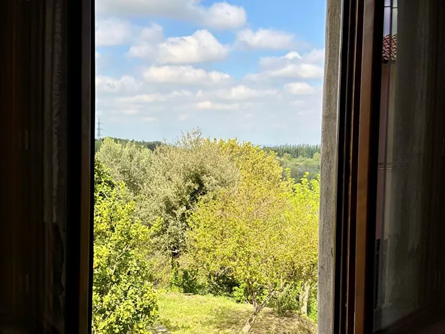 Immagine 22 di Terratetto in vendita  a Casciana Terme Lari