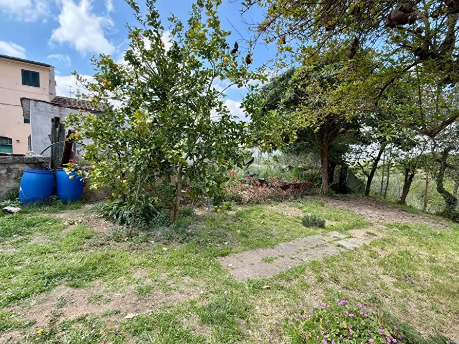 Immagine 28 di Terratetto in vendita  a Casciana Terme Lari