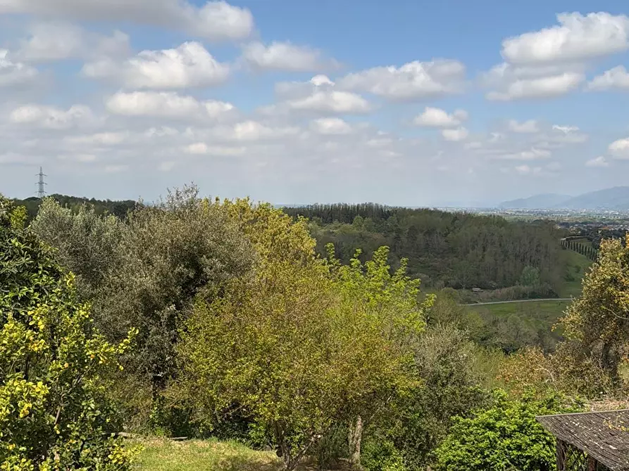 Immagine 27 di Terratetto in vendita  a Casciana Terme Lari