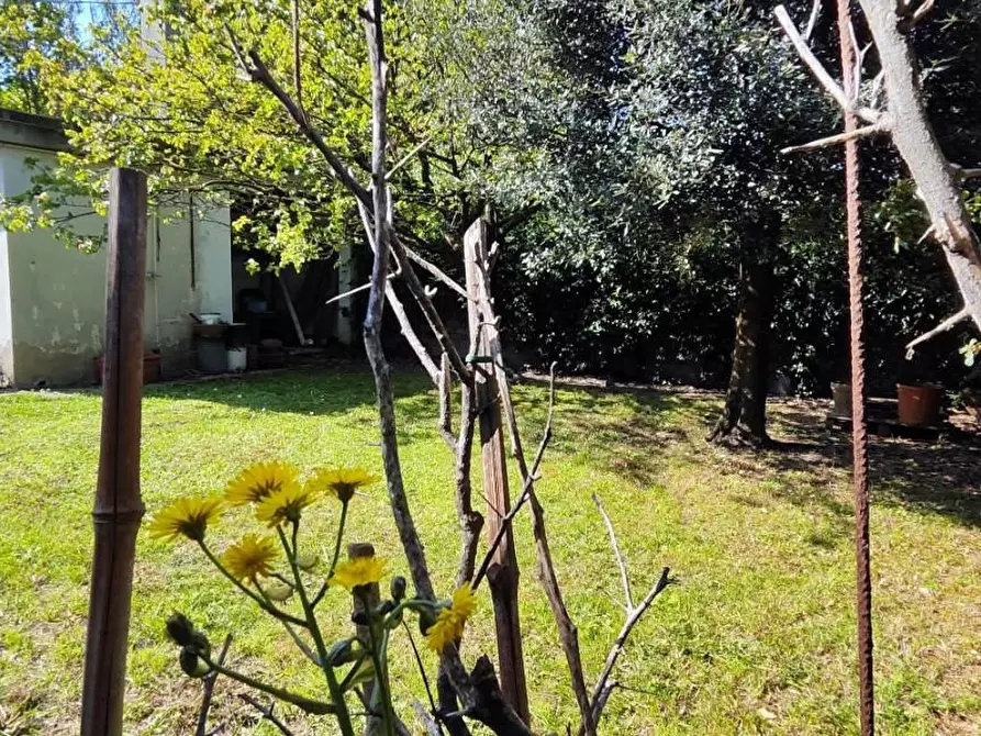Immagine 25 di Casa bifamiliare in vendita  a Santa Croce Sull'arno
