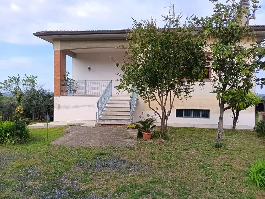 Immagine 4 di Casa indipendente in vendita  a Terricciola