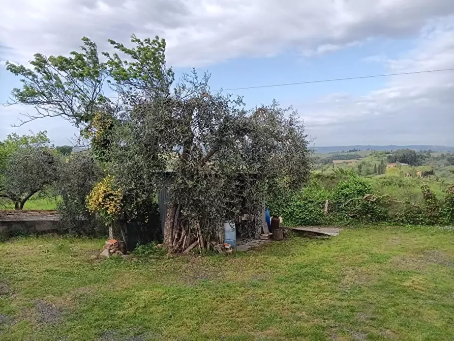 Immagine 9 di Casa indipendente in vendita  a Terricciola