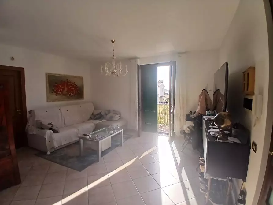 Immagine 13 di Appartamento in vendita  a Vecchiano