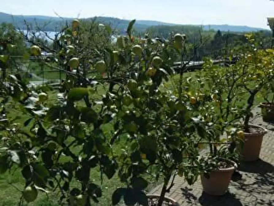 Immagine 8 di Albergo/B&B/Residence in vendita  a Piverone