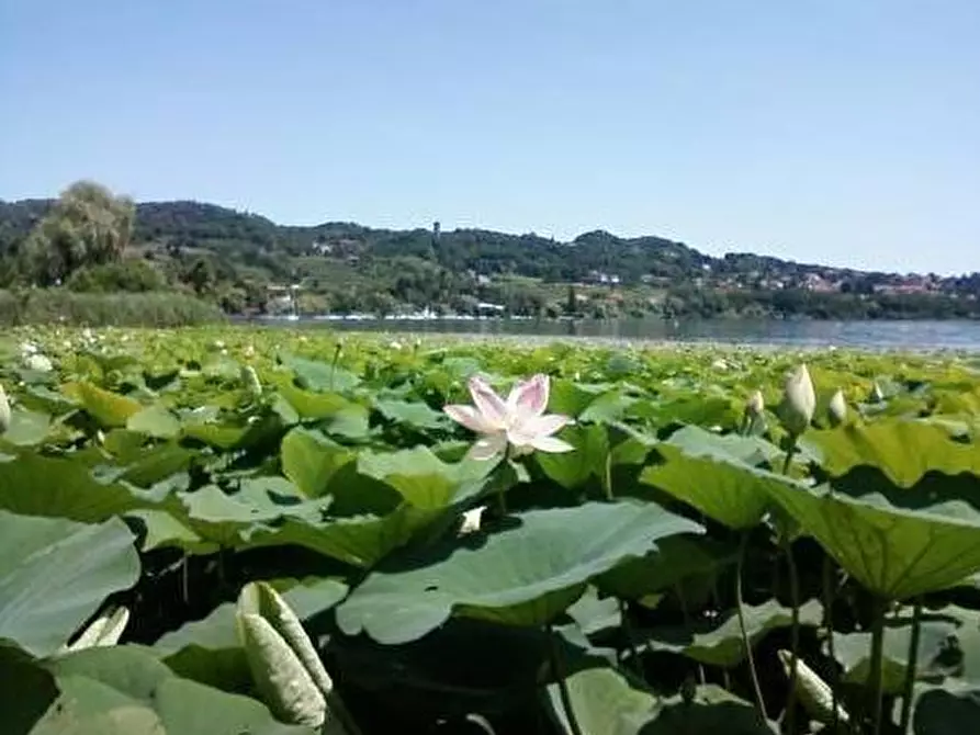 Immagine 12 di Albergo/B&B/Residence in vendita  a Piverone