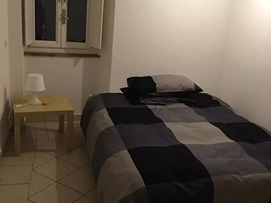 Immagine 11 di Appartamento in affitto  a Pisa