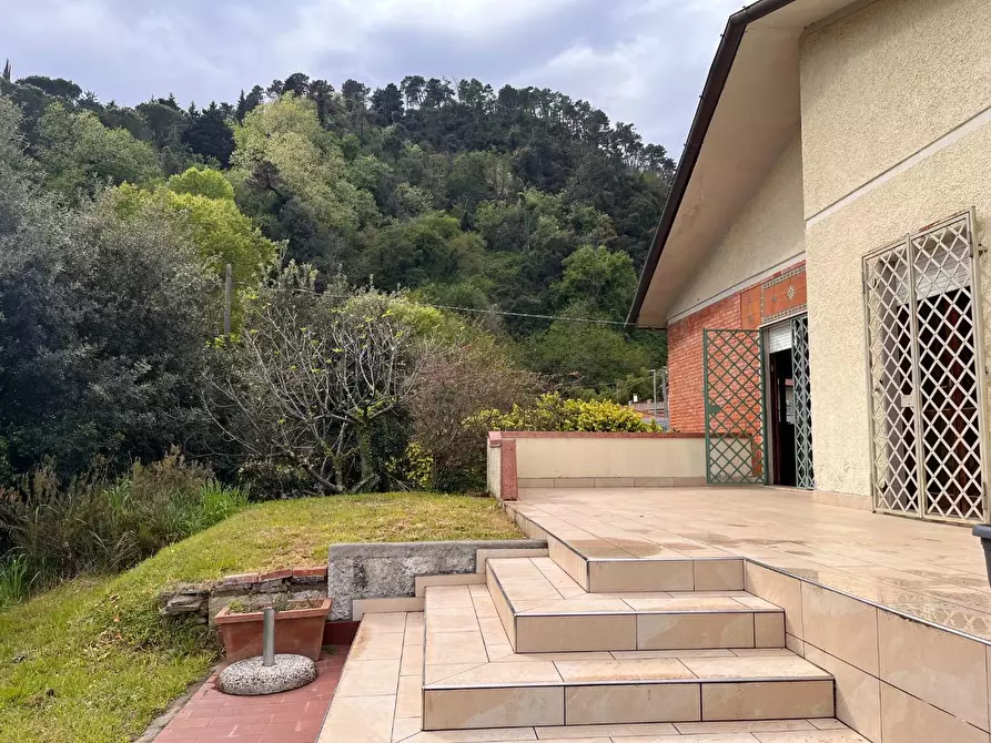 Immagine 1 di Casa indipendente in affitto  a Pietrasanta