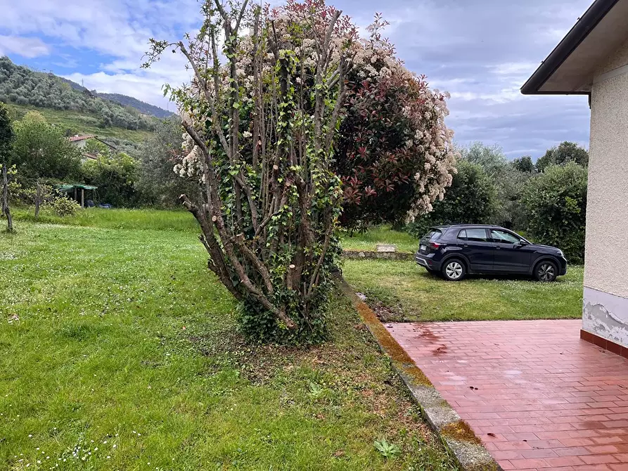 Immagine 24 di Casa indipendente in affitto  a Pietrasanta