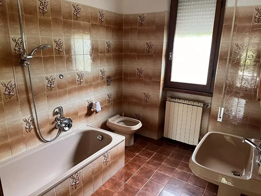 Immagine 16 di Casa indipendente in affitto  a Pietrasanta
