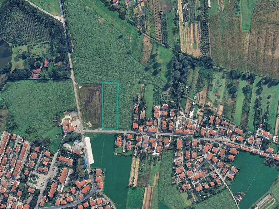 Immagine 1 di Terreno agricolo in vendita  a San Giuliano Terme