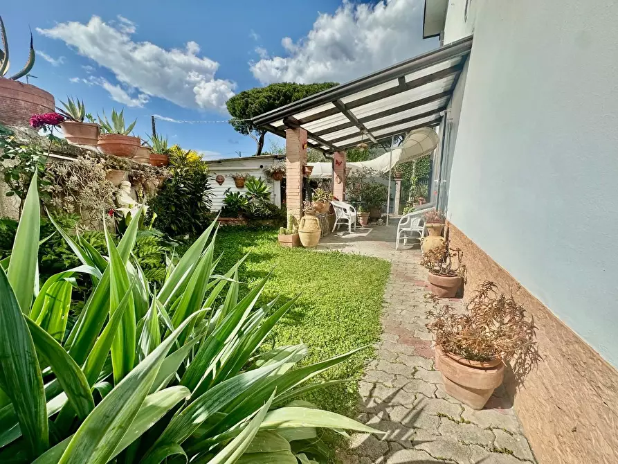 Immagine 3 di Casa semindipendente in vendita  a Massa