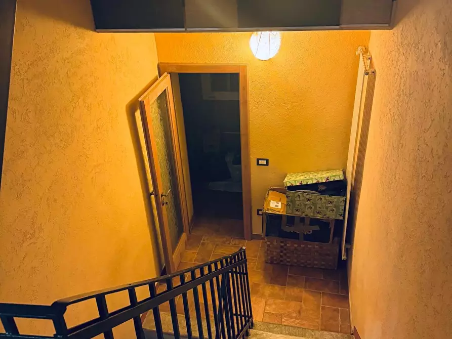 Immagine 17 di Terratetto in vendita  a Vecchiano