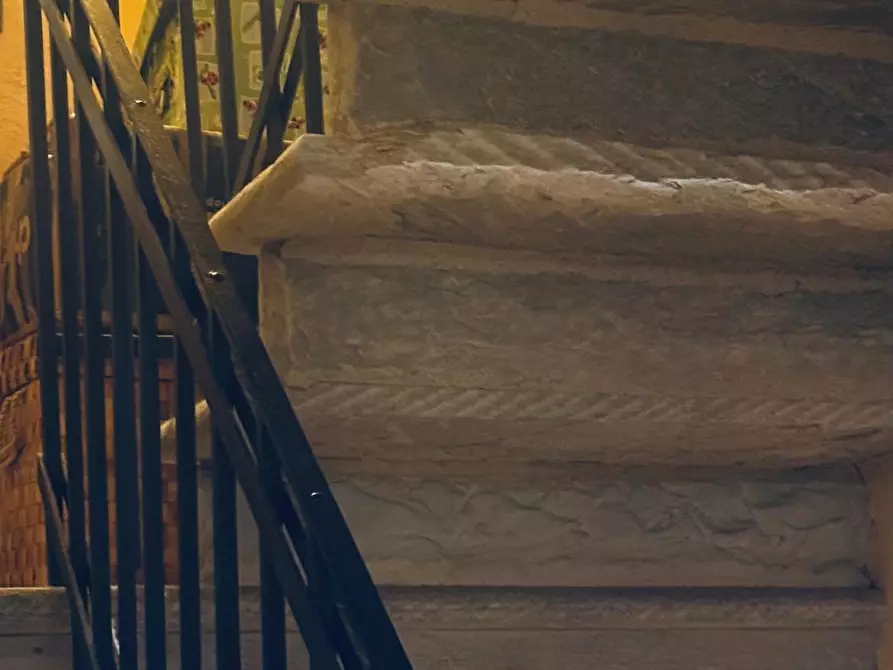 Immagine 9 di Terratetto in vendita  a Vecchiano