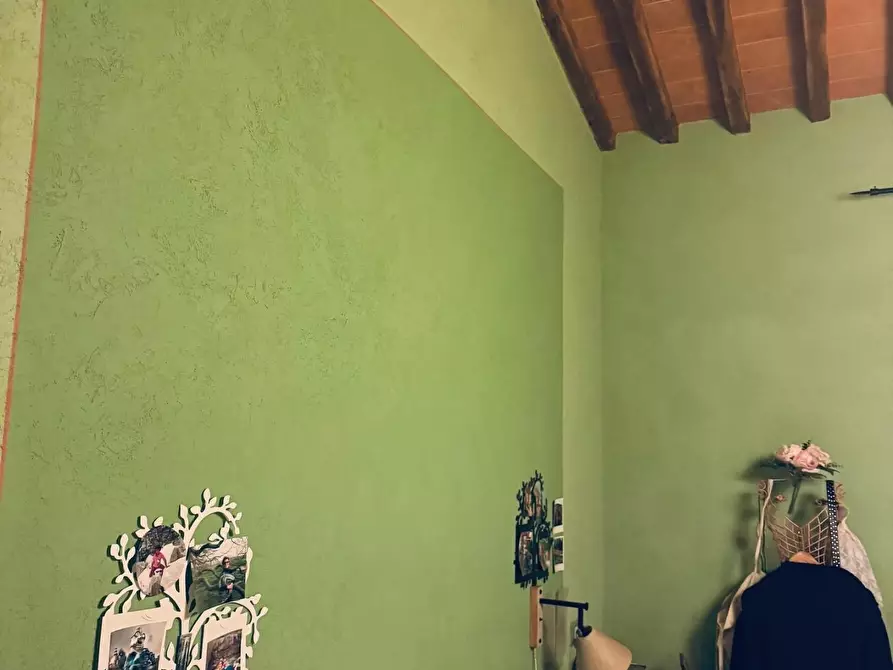 Immagine 11 di Terratetto in vendita  a Vecchiano