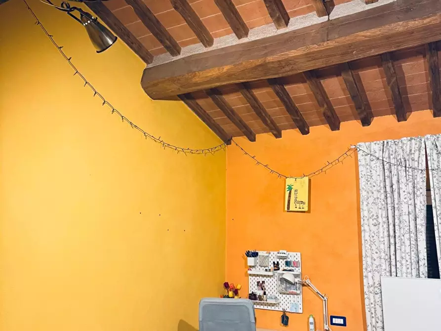 Immagine 13 di Terratetto in vendita  a Vecchiano