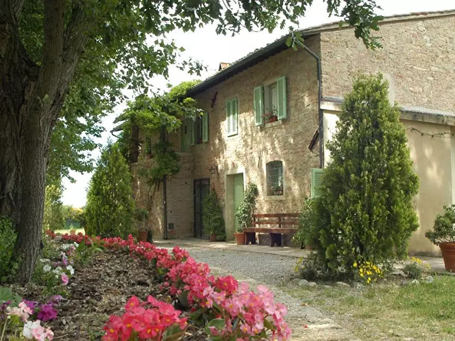 Immagine 5 di Appartamento in affitto  a Capannoli