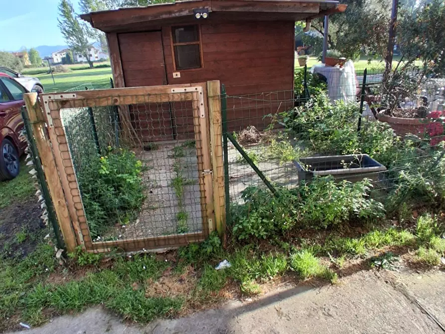 Immagine 3 di Terratetto in vendita  a Capannori
