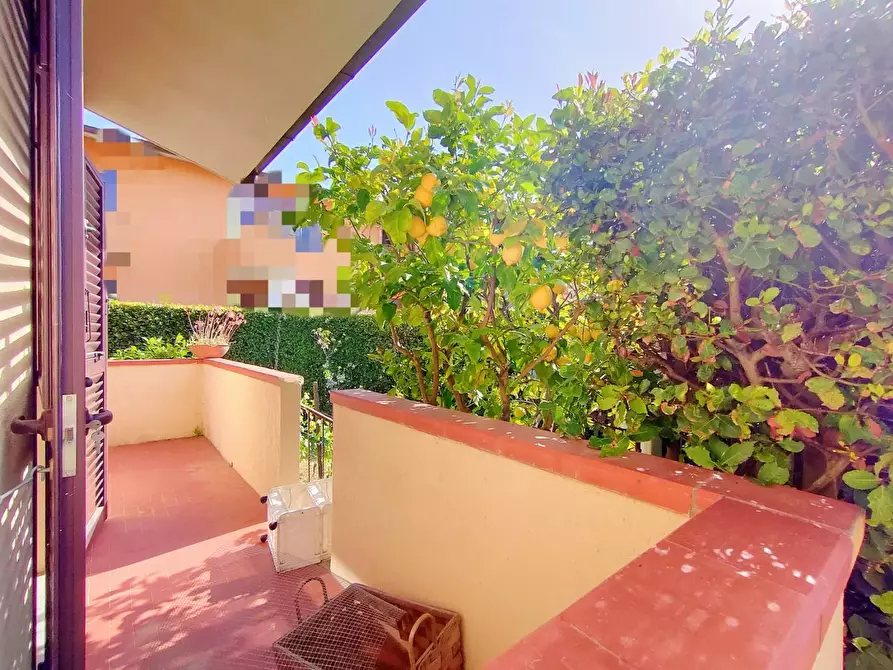 Immagine 23 di Villetta a schiera in vendita  a Calci