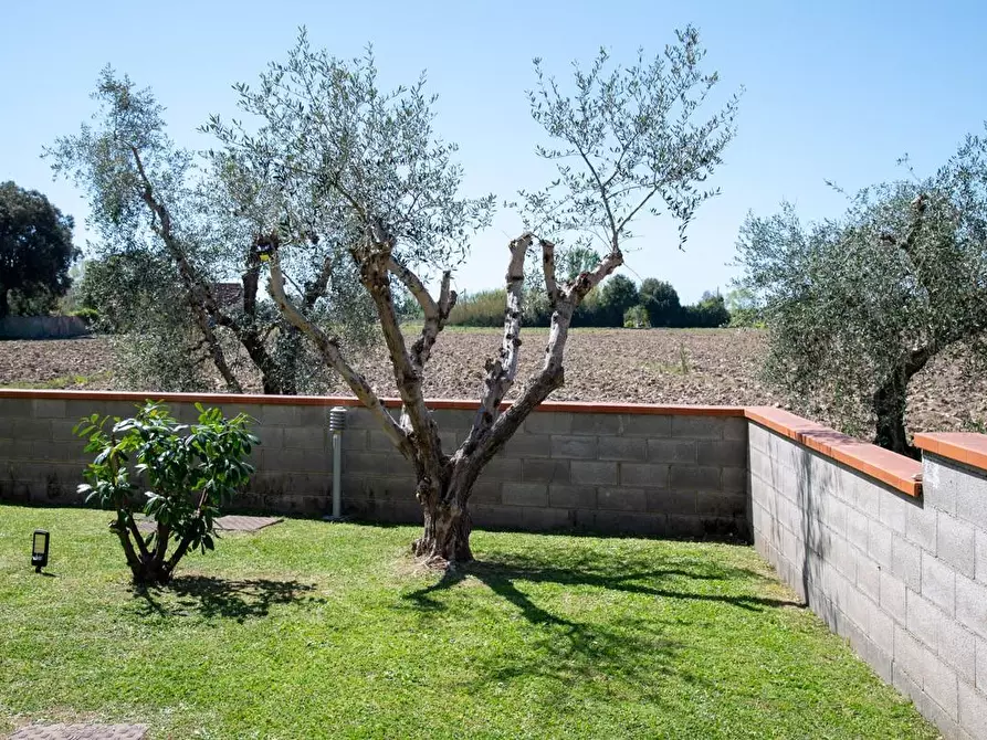 Immagine 11 di Villa in vendita  a San Giuliano Terme