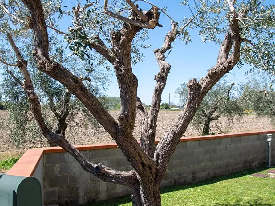 Immagine 9 di Villa in vendita  a San Giuliano Terme