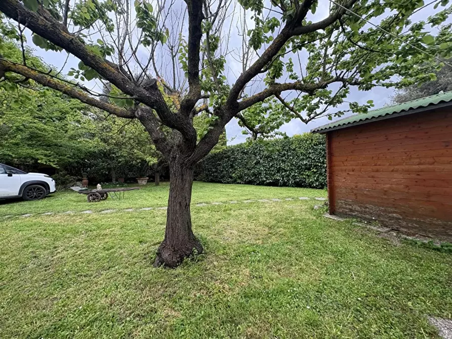 Immagine 18 di Villa in vendita  a Empoli