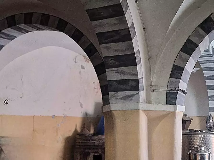 Immagine 8 di Rustico / casale in vendita  a Calci