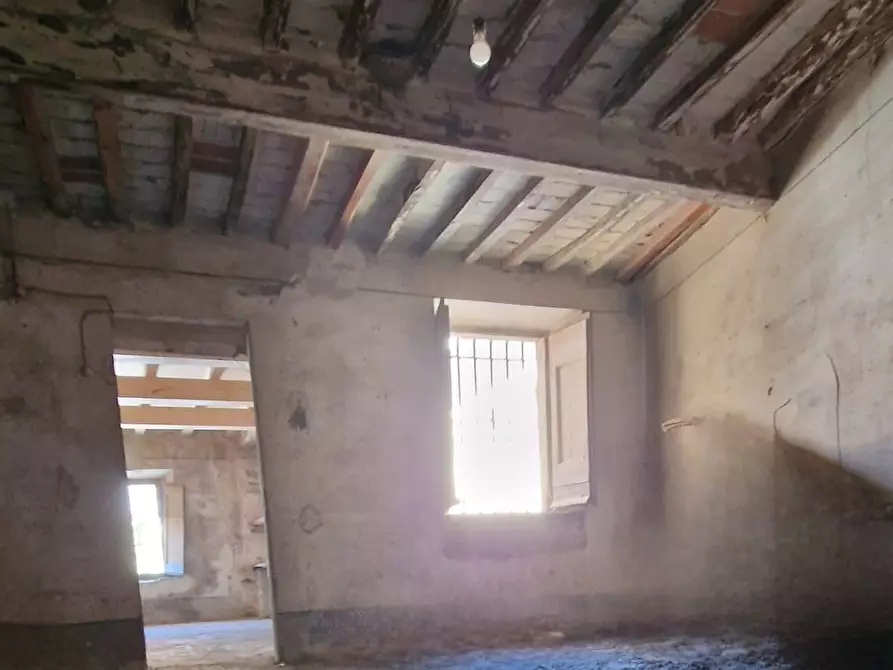 Immagine 32 di Rustico / casale in vendita  a Calci