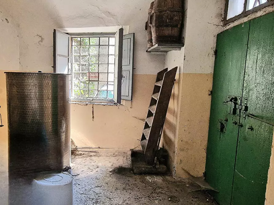 Immagine 41 di Rustico / casale in vendita  a Calci