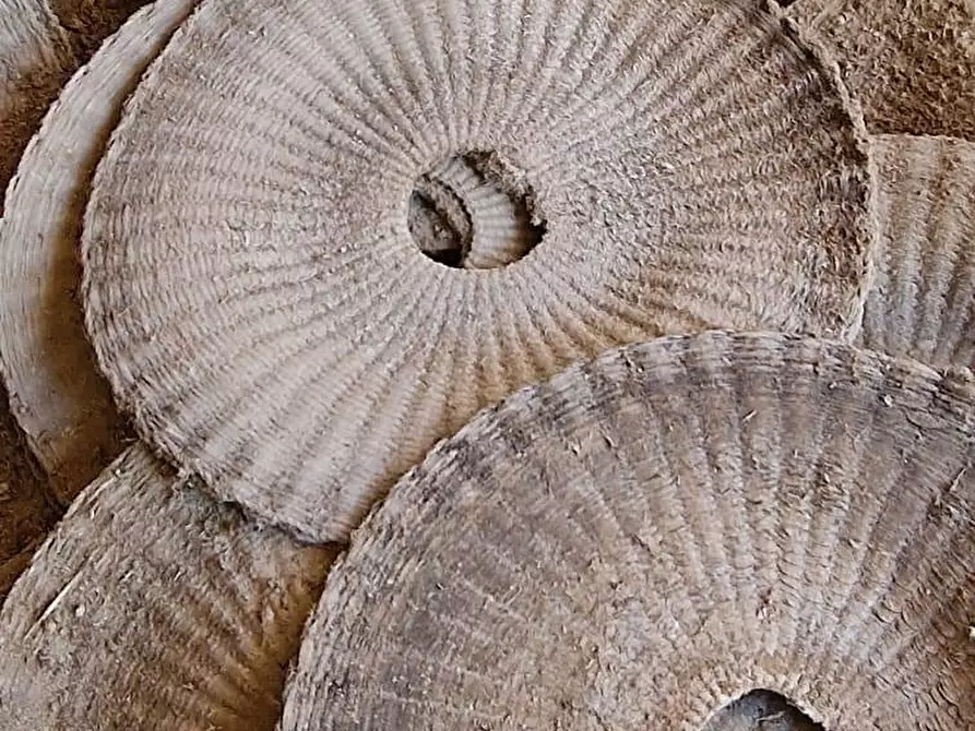 Immagine 27 di Rustico / casale in vendita  a Calci