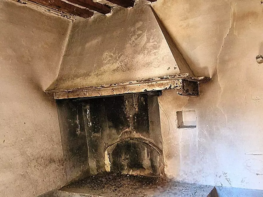 Immagine 11 di Rustico / casale in vendita  a Calci