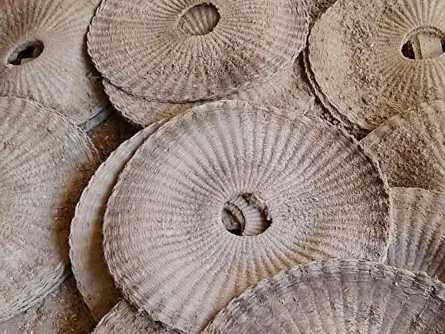 Immagine 14 di Rustico / casale in vendita  a Calci