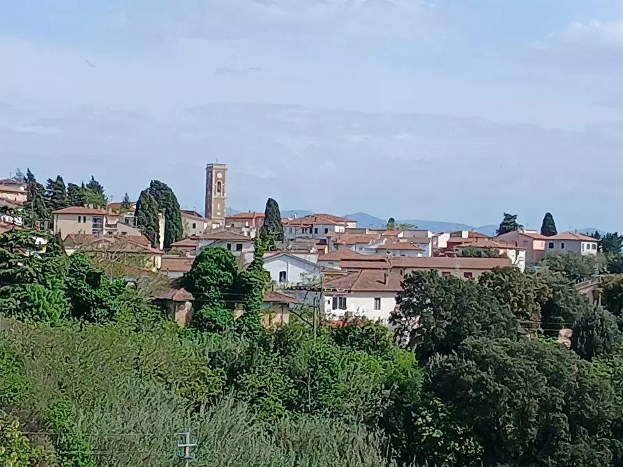 Immagine 30 di Appartamento in vendita  a Rosignano Marittimo