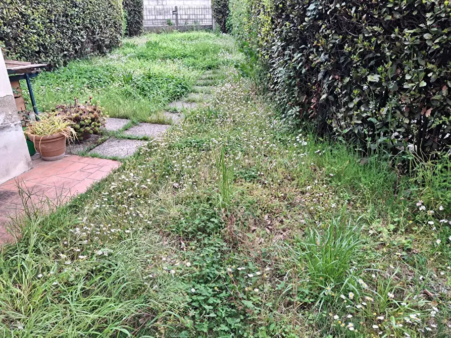 Immagine 23 di Terratetto in vendita  a Capraia E Limite