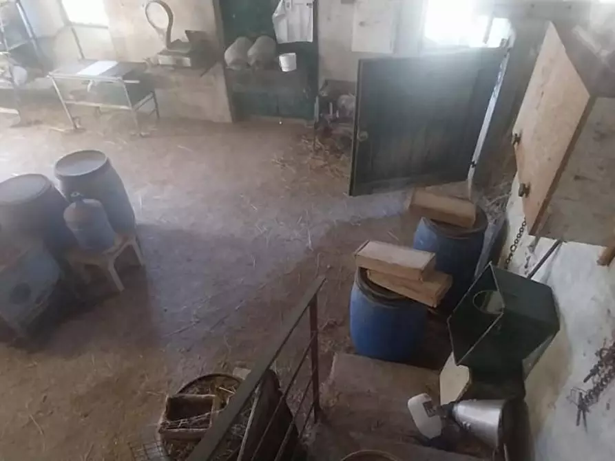 Immagine 40 di Casa indipendente in vendita  a Calci