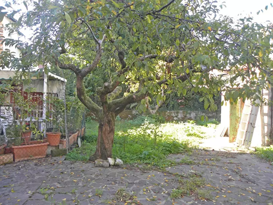 Immagine 3 di Deposito in vendita  a Lucca