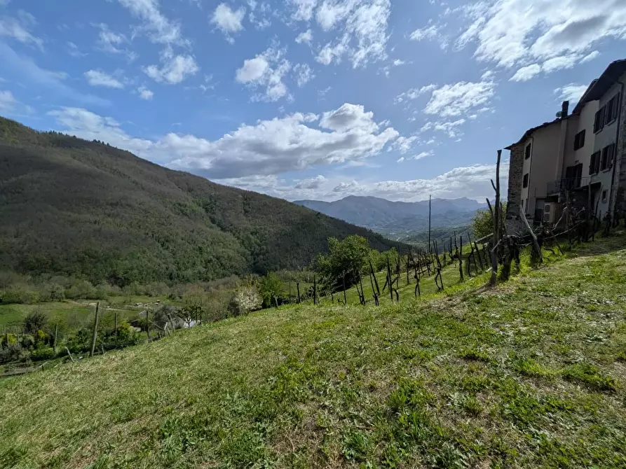 Immagine 38 di Terratetto in vendita  a Fosciandora