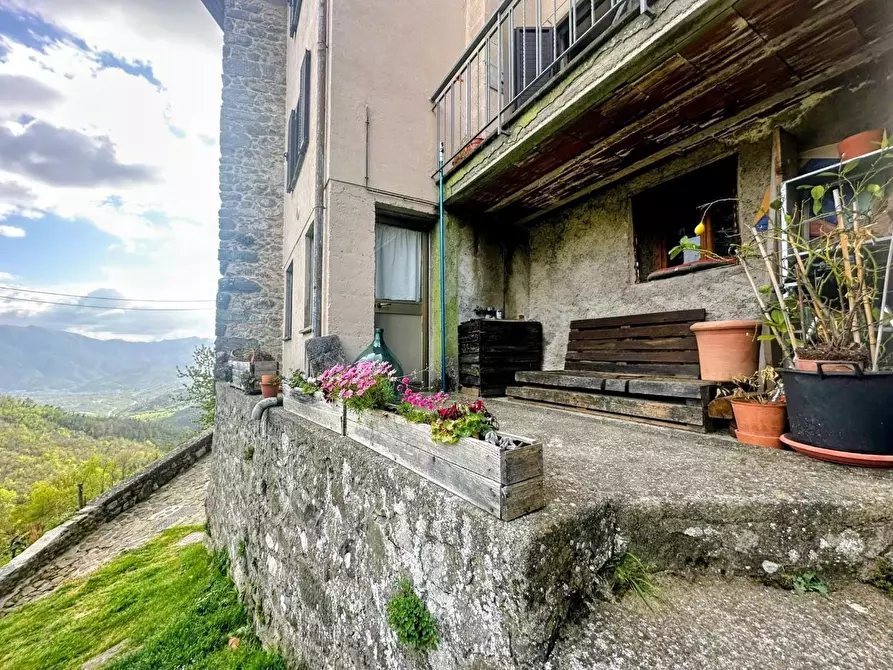 Immagine 32 di Terratetto in vendita  a Fosciandora