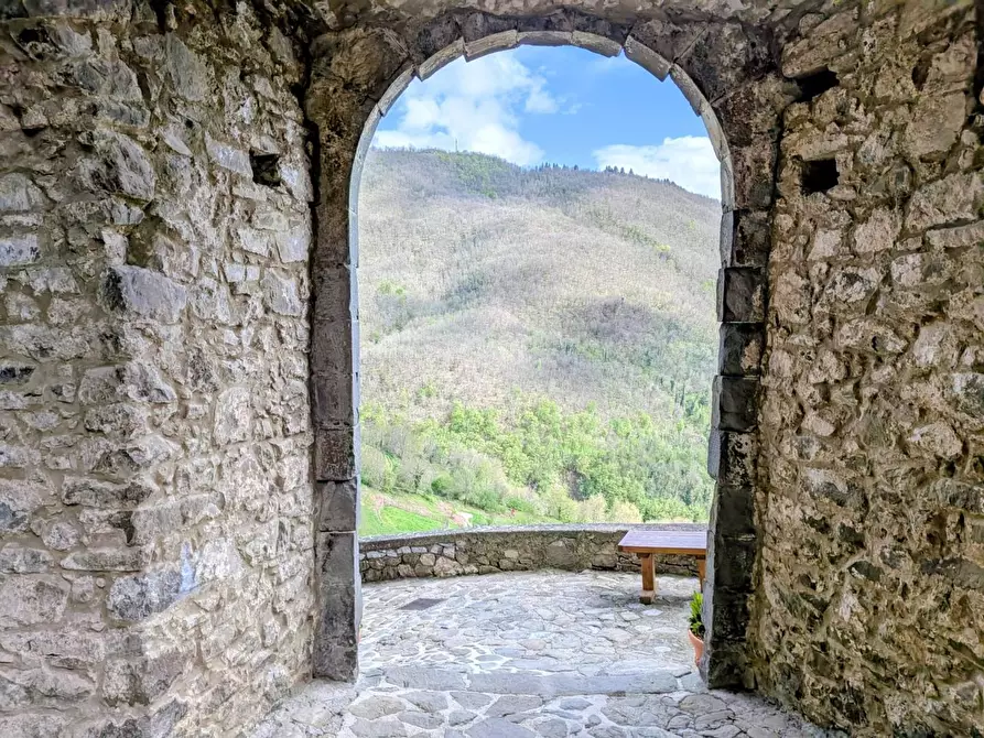 Immagine 29 di Terratetto in vendita  a Fosciandora