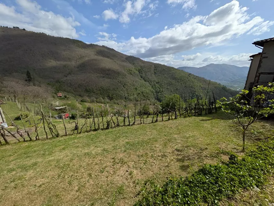 Immagine 37 di Terratetto in vendita  a Fosciandora