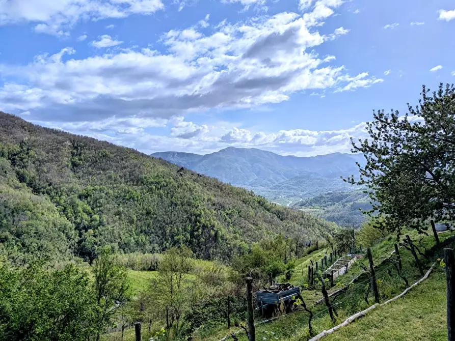 Immagine 35 di Terratetto in vendita  a Fosciandora