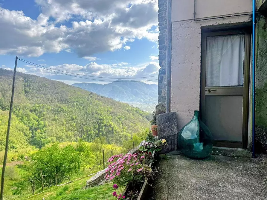 Immagine 31 di Terratetto in vendita  a Fosciandora