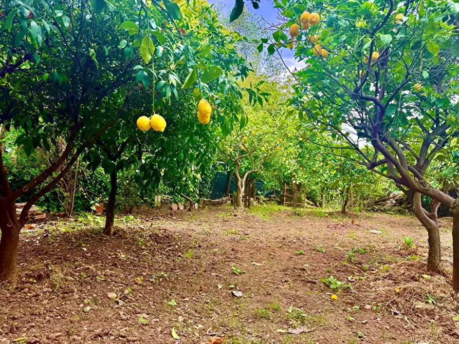 Immagine 6 di Casa indipendente in vendita  a Massa