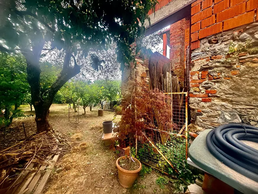 Immagine 4 di Casa indipendente in vendita  a Massa