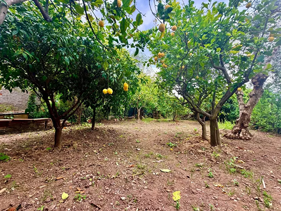 Immagine 7 di Casa indipendente in vendita  a Massa