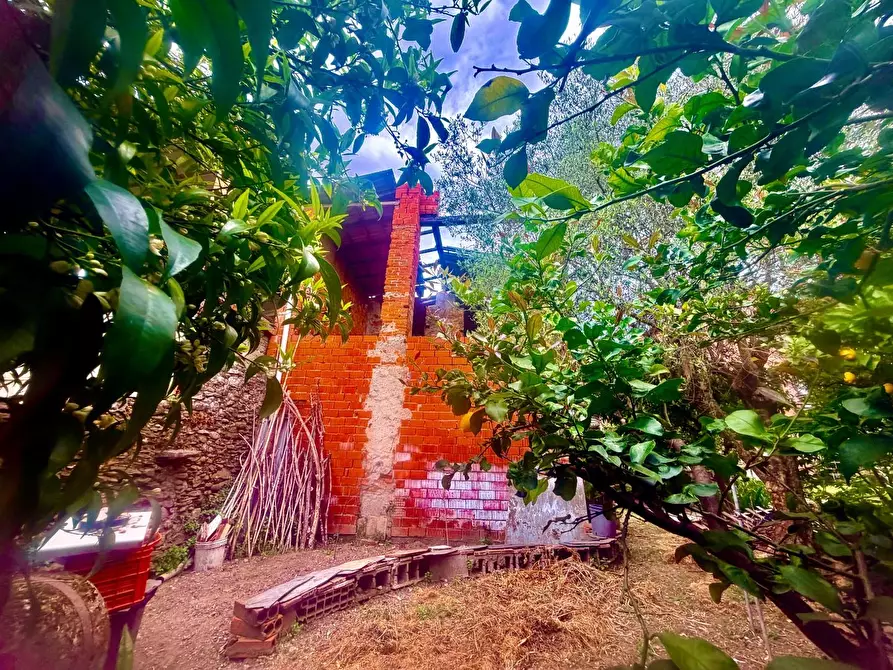 Immagine 2 di Casa indipendente in vendita  a Massa