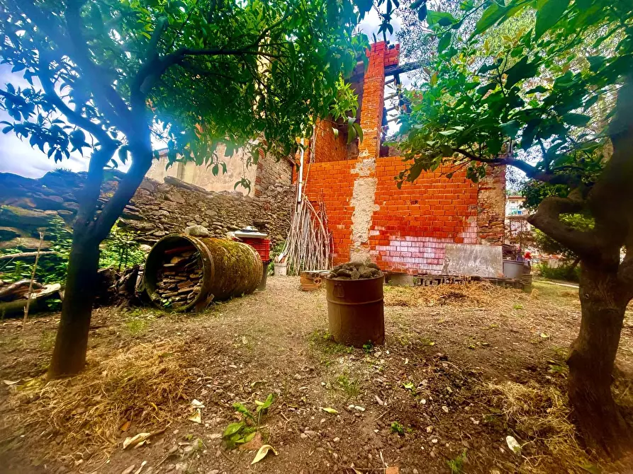 Immagine 3 di Casa indipendente in vendita  a Massa