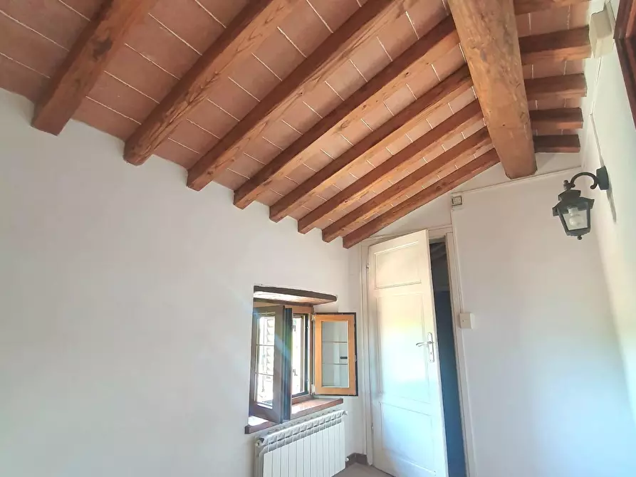 Immagine 44 di Casa semindipendente in vendita  a Capannori