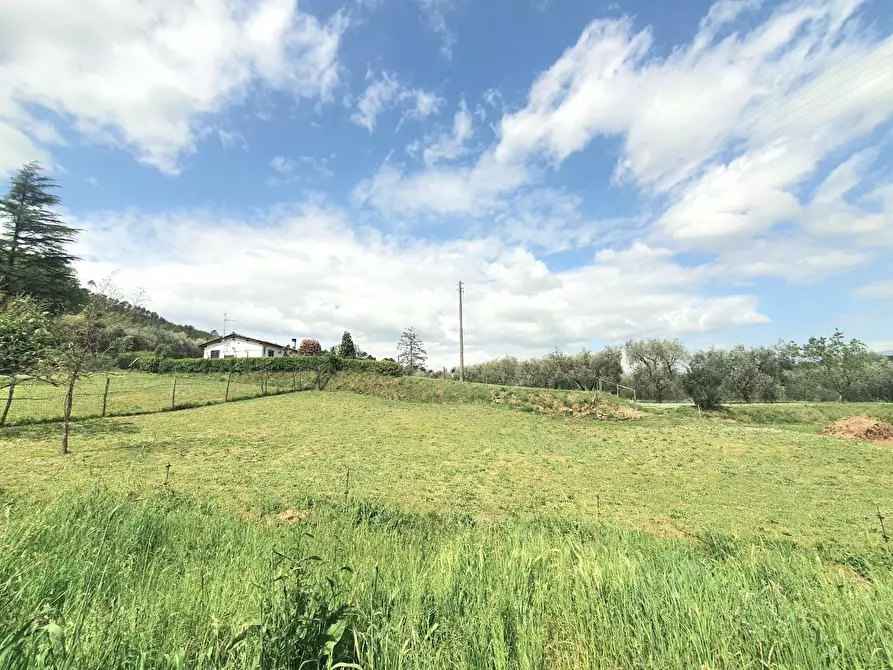 Immagine 69 di Casa semindipendente in vendita  a Capannori