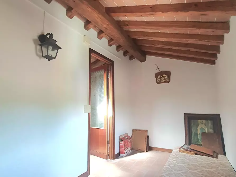 Immagine 43 di Casa semindipendente in vendita  a Capannori